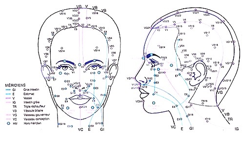 Méridiens du visage